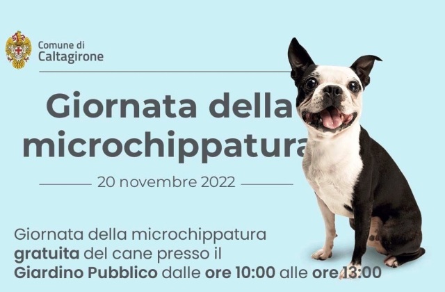 Caltagirone. Oggi, domenica 20 novembre, altra Giornata di microchippatura gratuita del cane